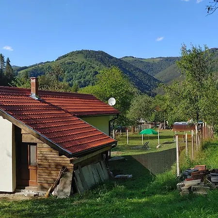 идилия Ribarica