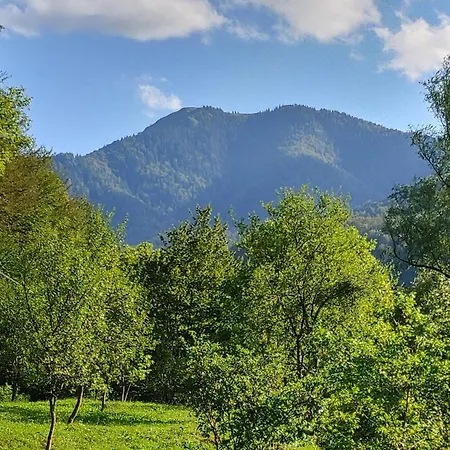 идилия Villa Ribarica