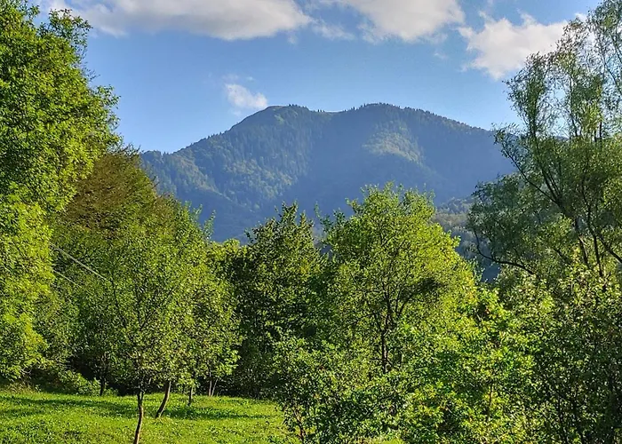 идилия וילה ריבריקה