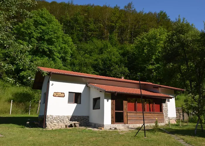 идилия ריבריקה